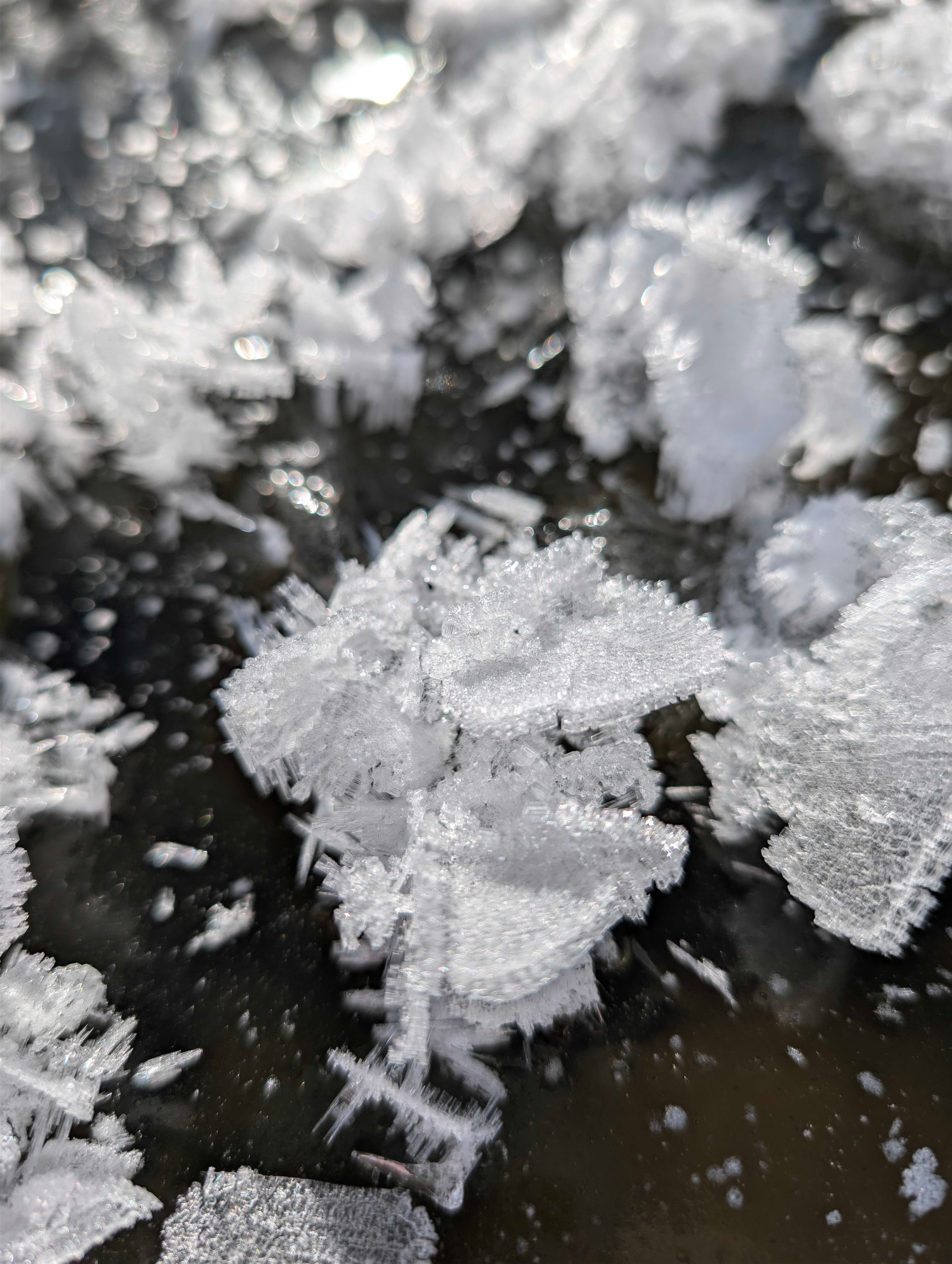 Ice crystals on frozen pond